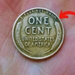 Lincoln Wheat Penny